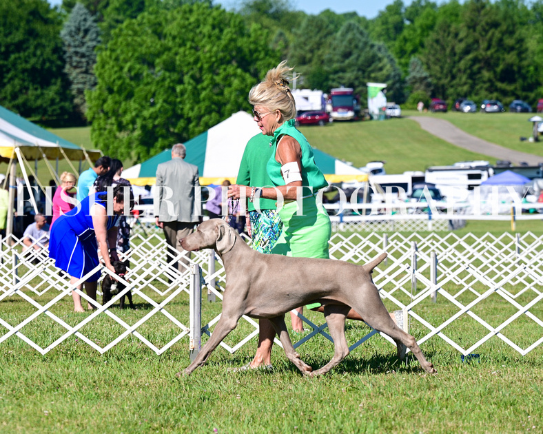 Fisher Photography | Bryn Mawr, PA - June 15, 2024