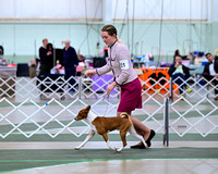 Hound Group Owner-Handled