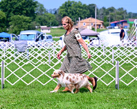 DSC_9154