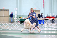 DSC_1911