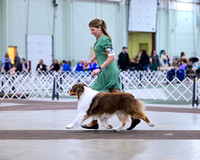 YORK - Celtic Classic - March 12-16, 2025