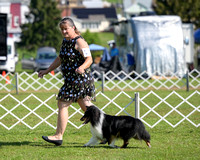 DSC_4102